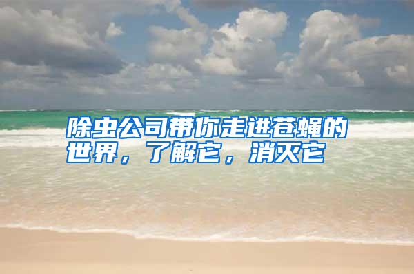 除蟲(chóng)公司帶你走進(jìn)蒼蠅的世界，了解它，消滅它