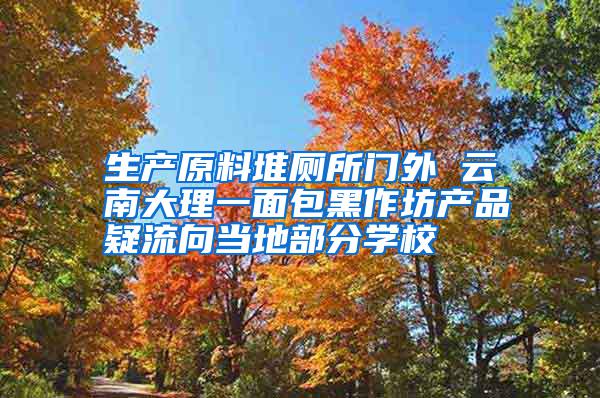 生產(chǎn)原料堆廁所門(mén)外 云南大理一面包黑作坊產(chǎn)品疑流向當(dāng)?shù)夭糠謱W(xué)校