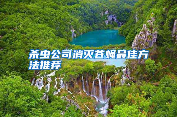 殺蟲(chóng)公司消滅蒼蠅最佳方法推薦