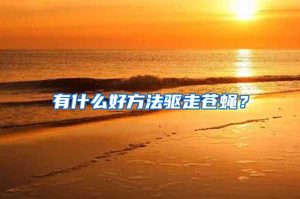 有什么好方法驅(qū)走蒼蠅？