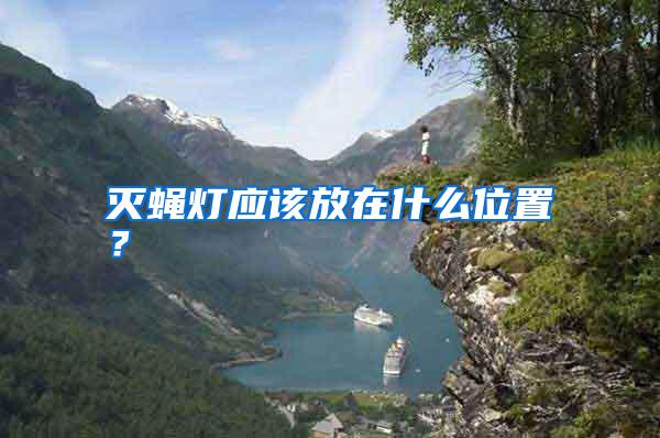 滅蠅燈應(yīng)該放在什么位置？