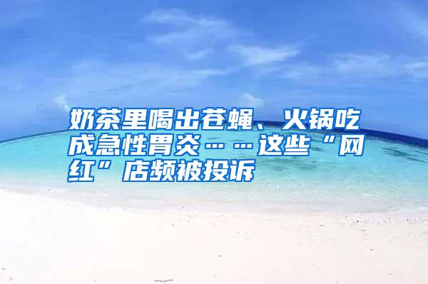 奶茶里喝出蒼蠅、火鍋吃成急性胃炎……這些“網(wǎng)紅”店頻被投訴