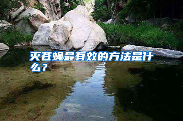 滅蒼蠅最有效的方法是什么？