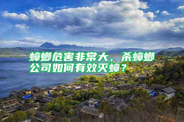 蟑螂危害非常大，殺蟑螂公司如何有效滅蟑？