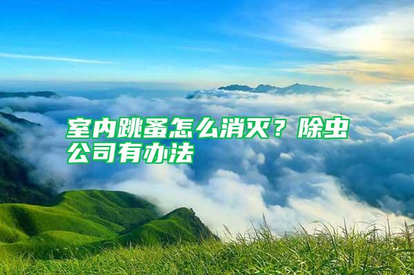 室內(nèi)跳蚤怎么消滅？除蟲公司有辦法