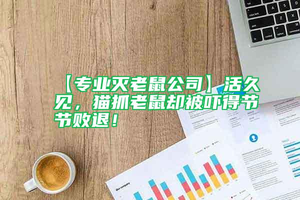 【專業滅老鼠公司】活久見，貓抓老鼠卻被嚇得節節敗退！