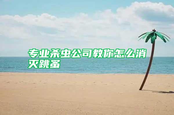 專(zhuān)業(yè)殺蟲(chóng)公司教你怎么消滅跳蚤