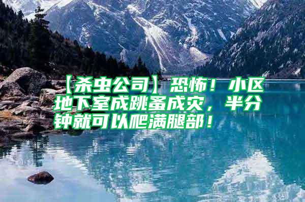 【殺蟲公司】恐怖！小區地下室成跳蚤成災，半分鐘就可以爬滿腿部！