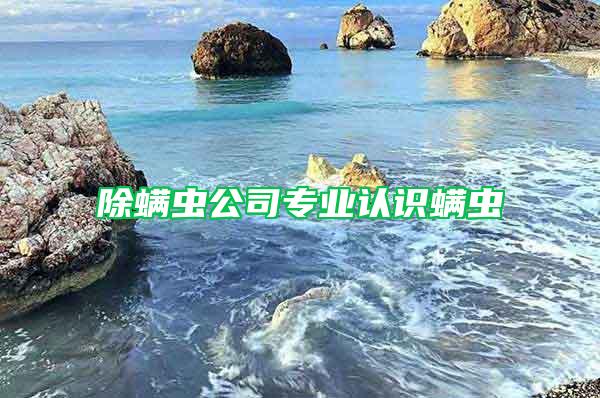 除螨蟲(chóng)公司專業(yè)認(rèn)識(shí)螨蟲(chóng)