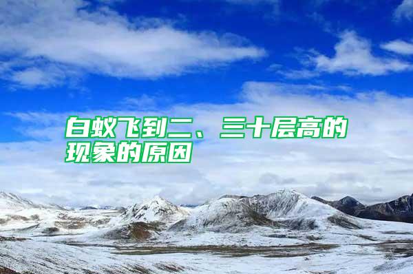 白蟻飛到二、三十層高的現象的原因