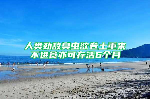 人類(lèi)勁敵臭蟲(chóng)欲卷土重來(lái) 不進(jìn)食亦可存活6個(gè)月