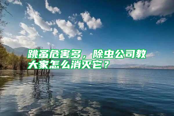 跳蚤危害多，除蟲公司教大家怎么消滅它？