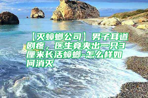 【滅蟑螂公司】男子耳道劇疼，醫生竟夾出一只3厘米長活蟑螂-怎么樣如何消滅