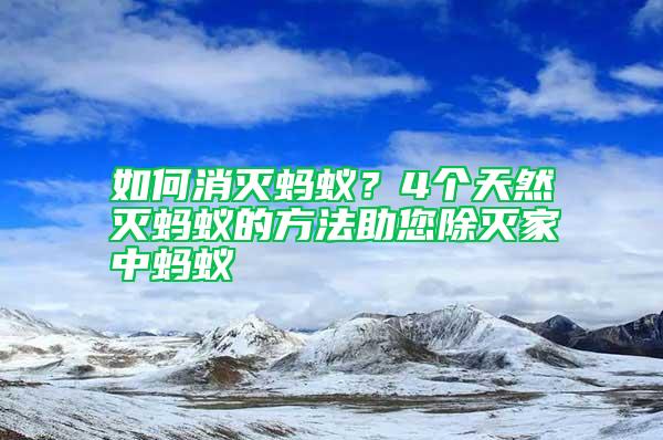 如何消滅螞蟻？4個天然滅螞蟻的方法助您除滅家中螞蟻