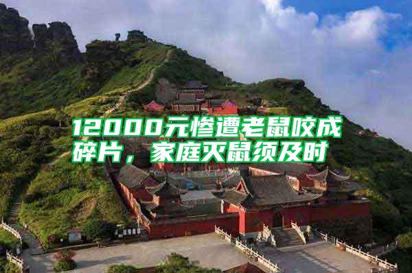 12000元慘遭老鼠咬成碎片，家庭滅鼠須及時(shí)