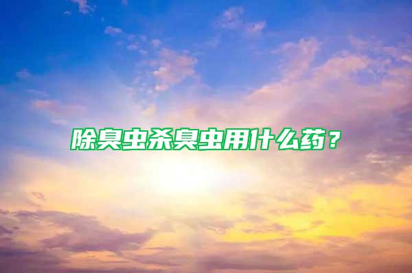 除臭蟲殺臭蟲用什么藥？