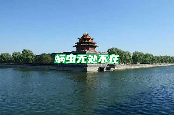螨蟲(chóng)無(wú)處不在