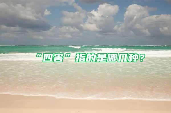 “四害”指的是哪幾種？