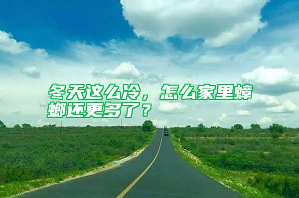冬天這么冷，怎么家里蟑螂還更多了？