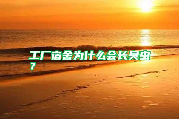 工廠宿舍為什么會(huì)長(zhǎng)臭蟲？