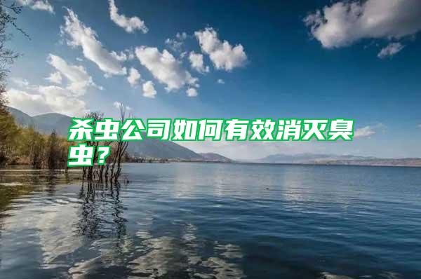 殺蟲公司如何有效消滅臭蟲？