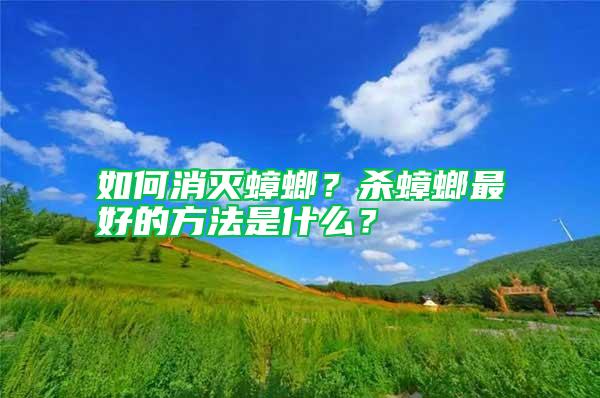 如何消滅蟑螂？殺蟑螂最好的方法是什么？