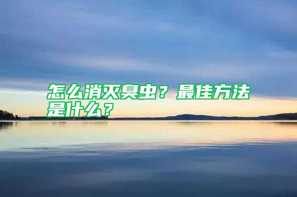 怎么消滅臭蟲？最佳方法是什么？