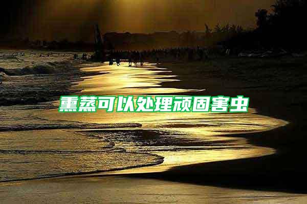 熏蒸可以處理頑固害蟲(chóng)