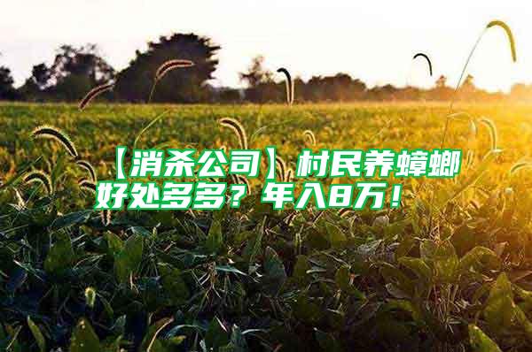 【消殺公司】村民養蟑螂好處多多？年入8萬！