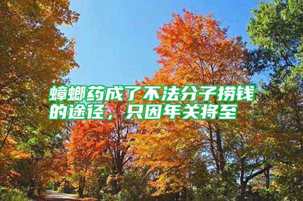 蟑螂藥成了不法分子撈錢的途徑，只因年關將至