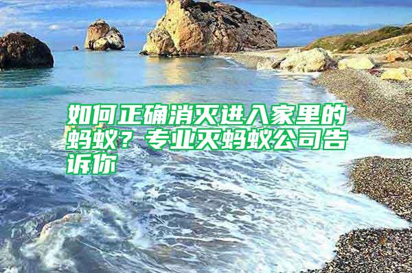 如何正確消滅進入家里的螞蟻？專業(yè)滅螞蟻公司告訴你