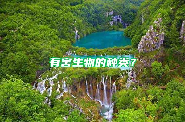 有害生物的種類？