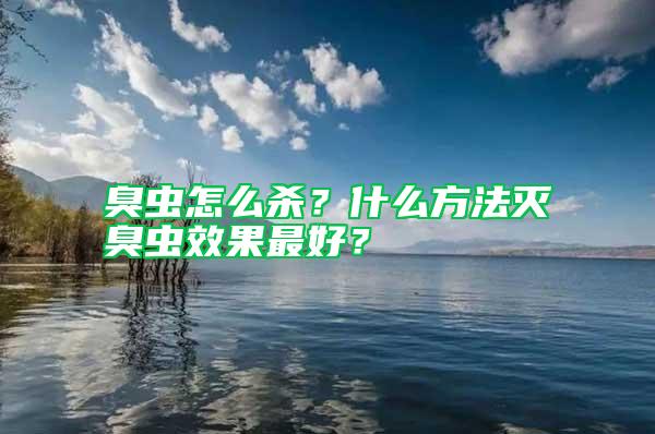 臭蟲怎么殺？什么方法滅臭蟲效果最好？