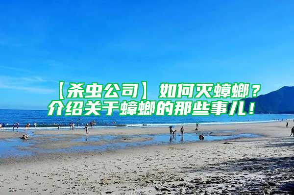 【殺蟲公司】如何滅蟑螂？介紹關于蟑螂的那些事兒！