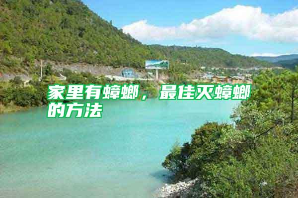 家里有蟑螂，最佳滅蟑螂的方法