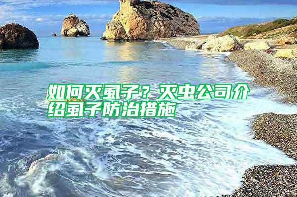 如何滅虱子？滅蟲公司介紹虱子防治措施