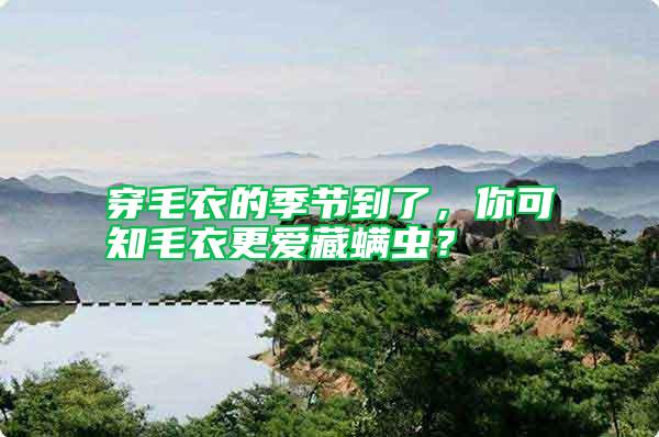 穿毛衣的季節到了，你可知毛衣更愛藏螨蟲？