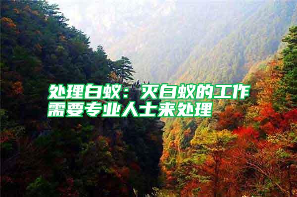 處理白蟻：滅白蟻的工作需要專業(yè)人士來(lái)處理