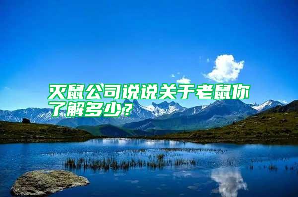 滅鼠公司說說關于老鼠你了解多少？