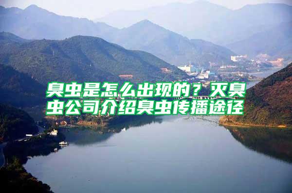 臭蟲是怎么出現(xiàn)的？滅臭蟲公司介紹臭蟲傳播途徑