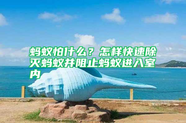 螞蟻怕什么？怎樣快速除滅螞蟻并阻止螞蟻進入室內