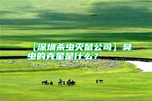 【深圳殺蟲(chóng)滅鼠公司】臭蟲(chóng)的克星是什么？