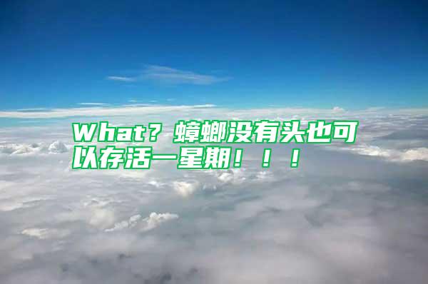 What？蟑螂沒有頭也可以存活一星期?。?！