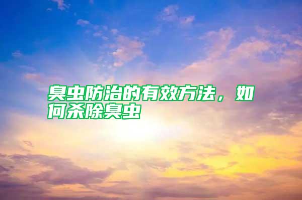 臭蟲防治的有效方法，如何殺除臭蟲