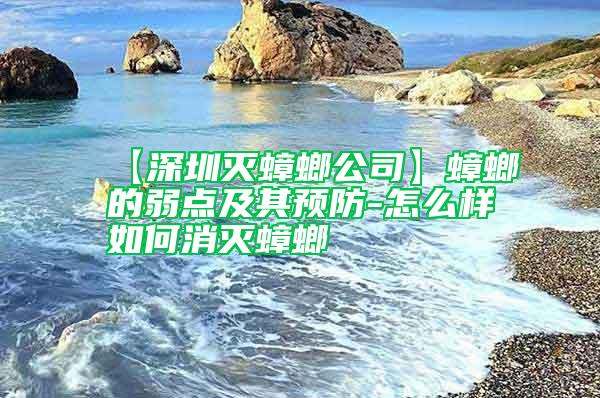 【深圳滅蟑螂公司】蟑螂的弱點及其預(yù)防-怎么樣如何消滅蟑螂
