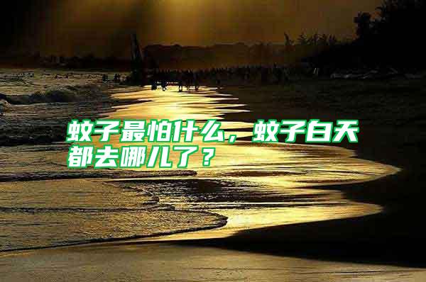 蚊子最怕什么，蚊子白天都去哪兒了？