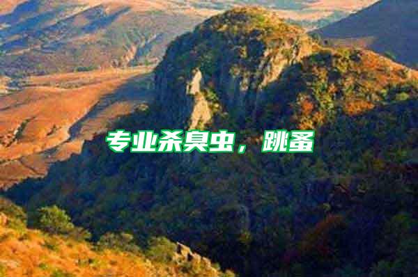 專(zhuān)業(yè)殺臭蟲(chóng)，跳蚤