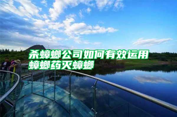 殺蟑螂公司如何有效運用蟑螂藥滅蟑螂