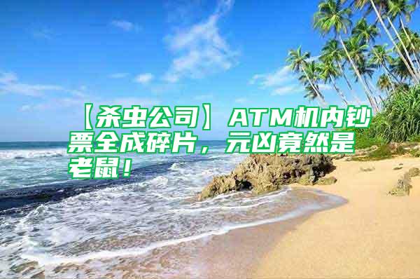 【殺蟲公司】ATM機內(nèi)鈔票全成碎片，元兇竟然是老鼠！