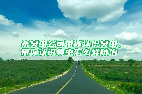 殺臭蟲公司帶你認識臭蟲，帶你認識臭蟲怎么樣防治